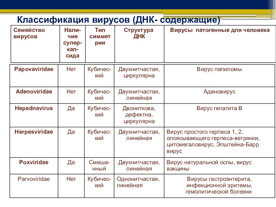 РНК содержащие вирусы классификация. Семейства ДНК содержащих вирусов. Классификация ДНК вирусов. Классификация ДНК содержащих вирусов.