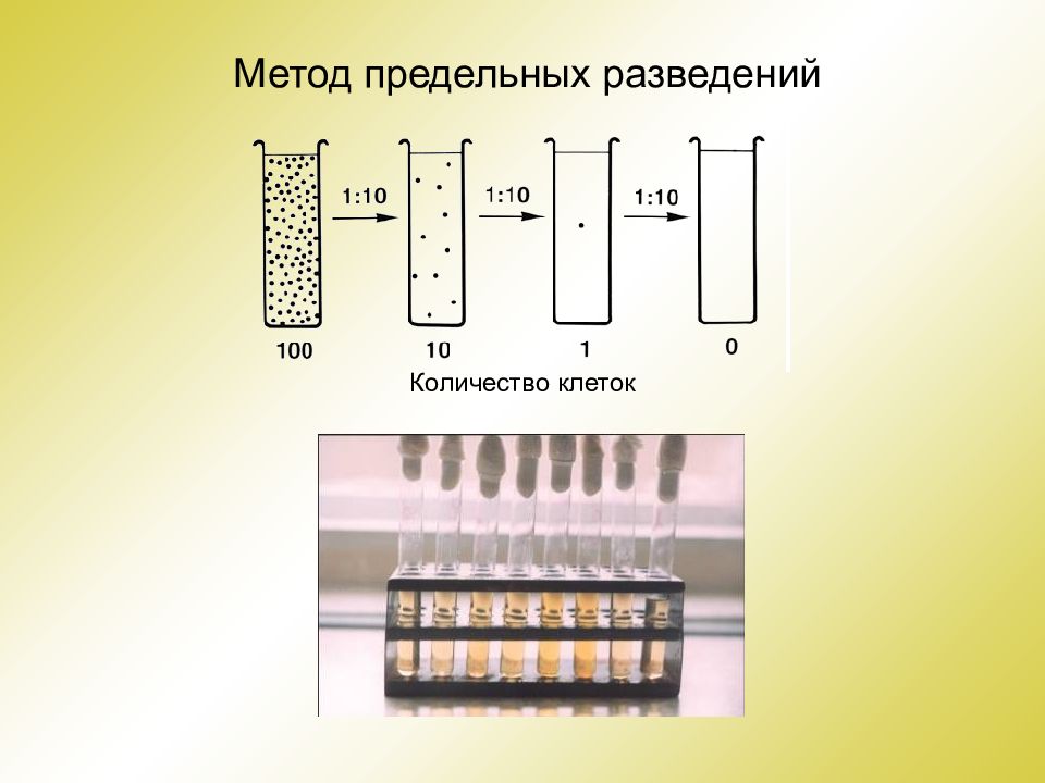 Метод серийных рисунков изначально был разработан