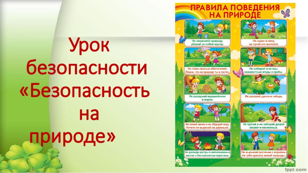 Урок безопасности «Безопасность на природе»