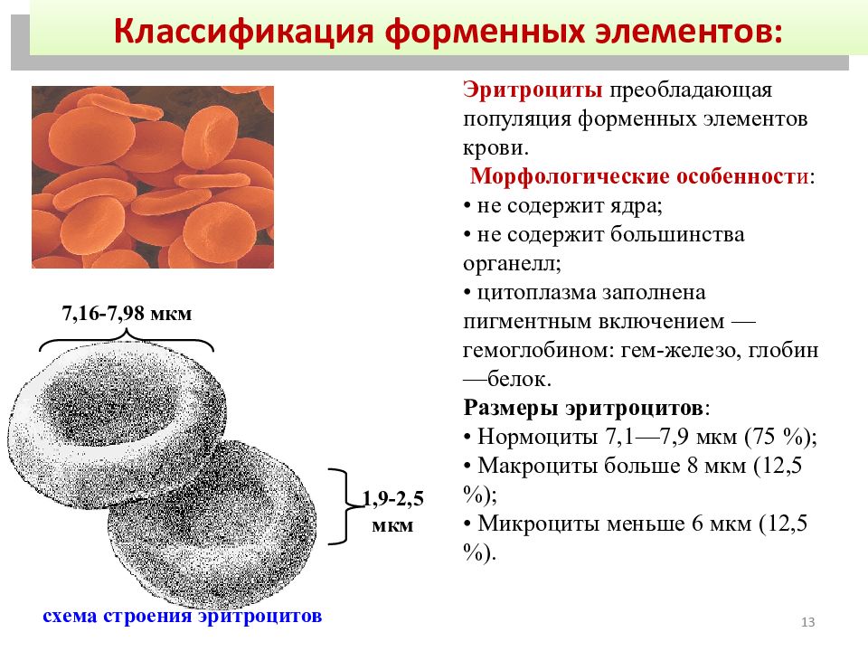 Нормы форменных элементов крови. Классификация клеточных элементов крови. Форменные элементы крови эритроциты и гемоглобин. Форменные элементы крови с ядром.
