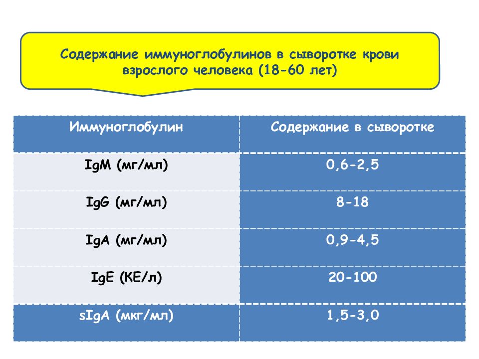 Иммуноглобулин е в сыворотке