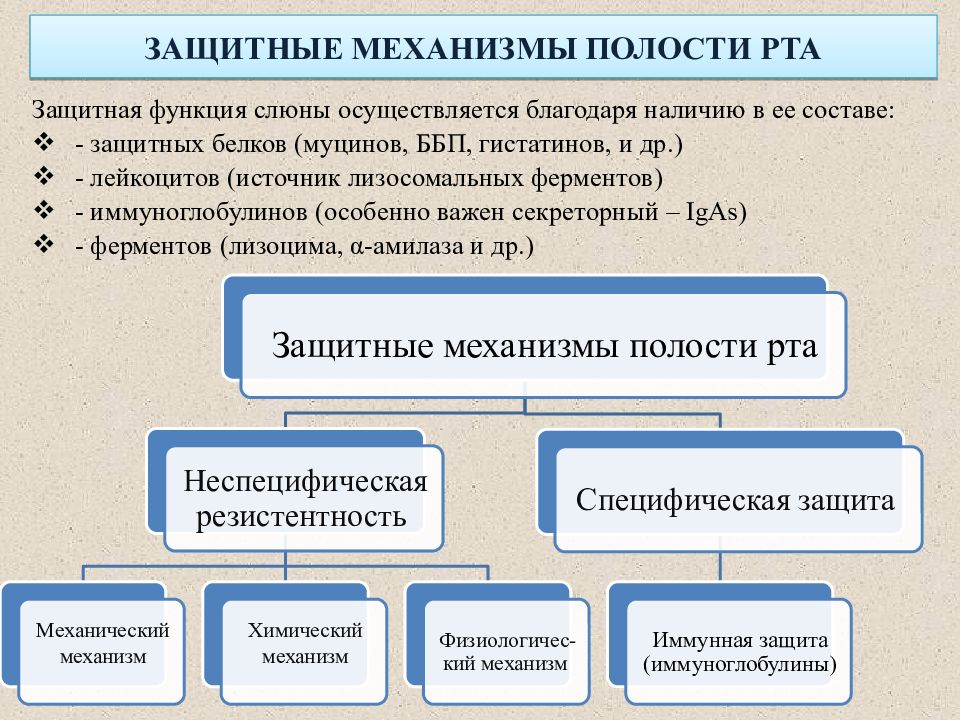 Презентация биохимия полости рта