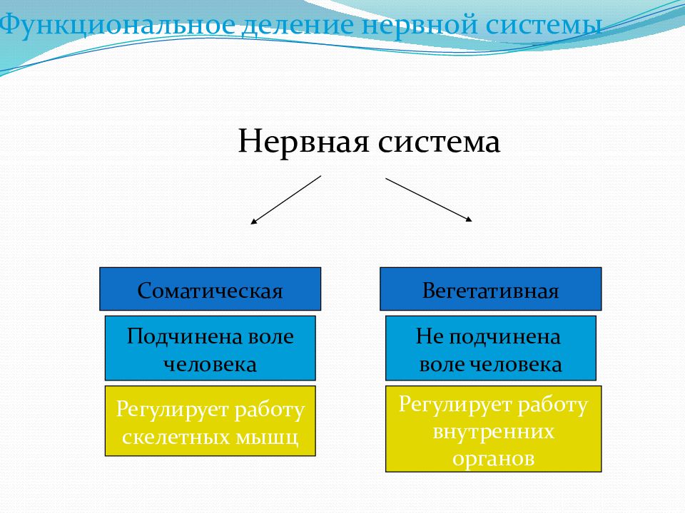 Подчинена воле человека