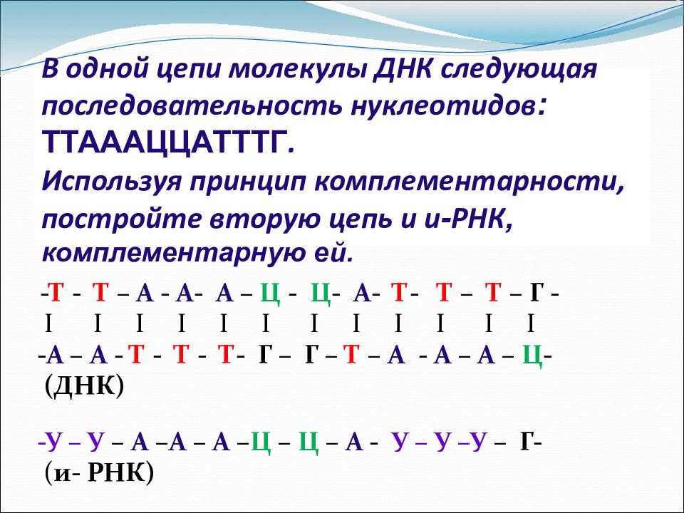 Комплементарность днк