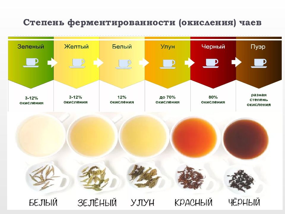 Какого цвета чай. Классификация чая. Классификация чая по степени ферментации. Чай классификация и виды. Классификация китайских чаев.