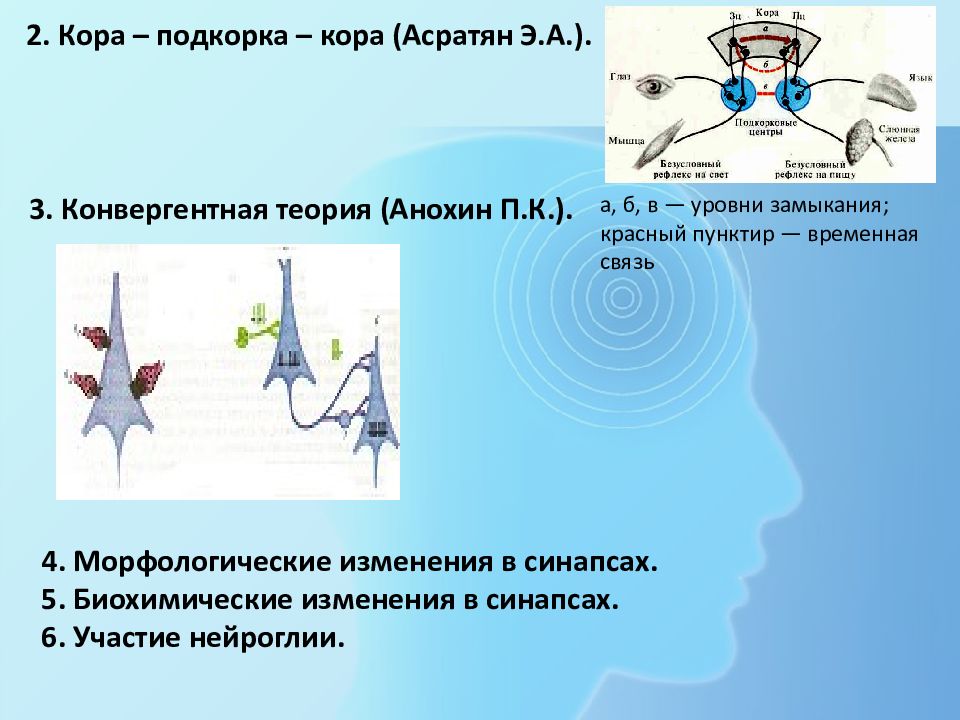 Физиология высшей нервной деятельности презентация