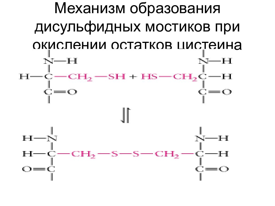 Дисульфидные мостики. Дисульфидная связь между аминокислотами. Дисульфидные связи цистеин. Дисульфидные мостики цистеина. Реакция образования дисульфидной связи в белке.