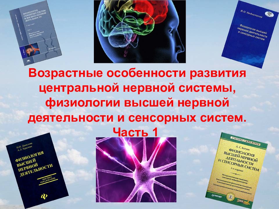 Высшая нервная деятельность физиология. Физиология высшей нервной деятельности и сенсорных систем. Физиология высшей нервной деятельности