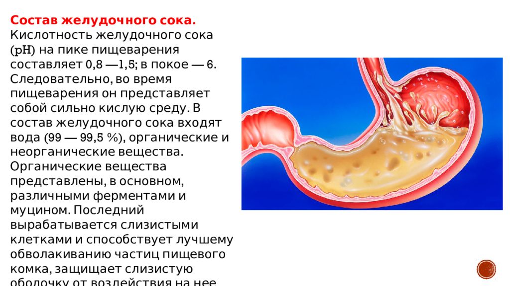 Кислотность желудочного сока человека. Желудочный сок физиология пищеварения. Повышенная кислотность желудка PH. Пищеварительный сок желудка. Желудок и желудочный сок.