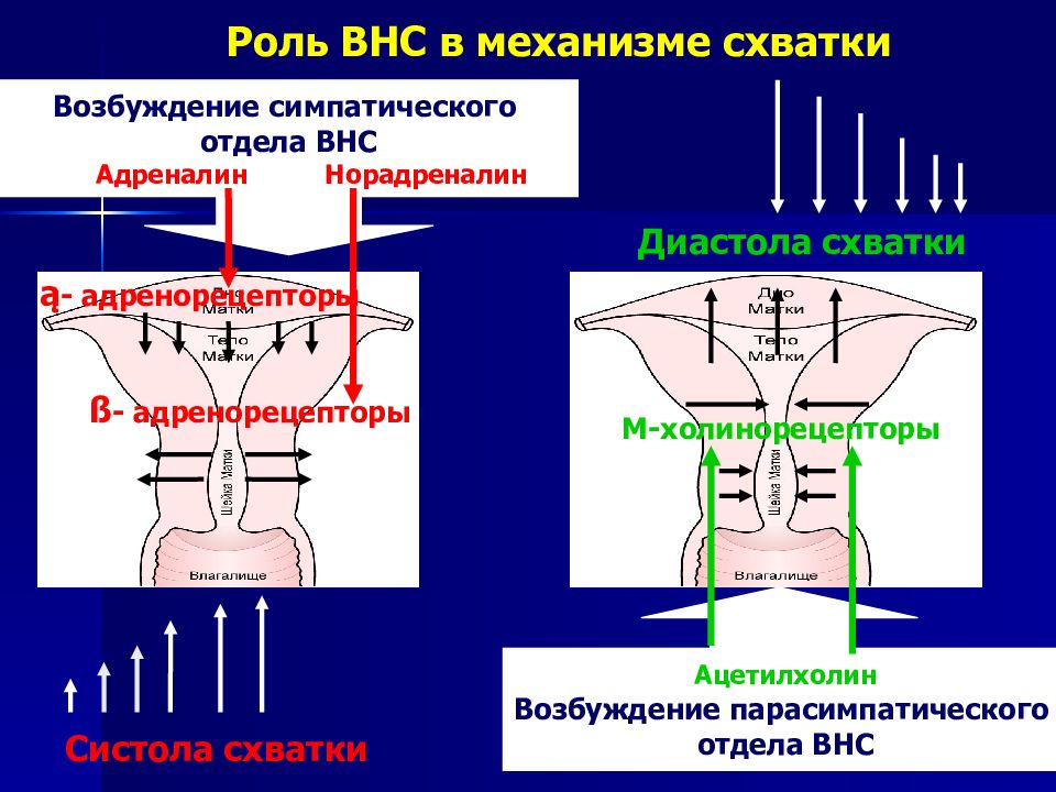 Причины наступления родов презентация