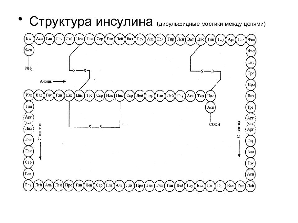 Дисульфидный мостик структура. Строение инсулина биохимия. Структурное строение инсулина. Схема структуры инсулина. Первичная структура инсулина.