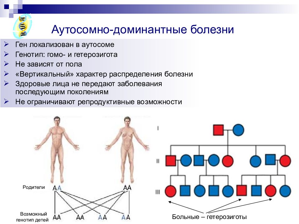 Аутосомно рецессивные заболевания