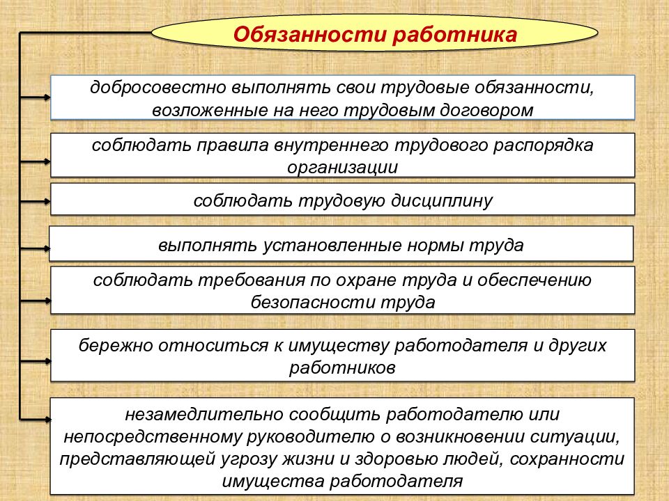 Основы трудовых правоотношений в рф план по обществознанию