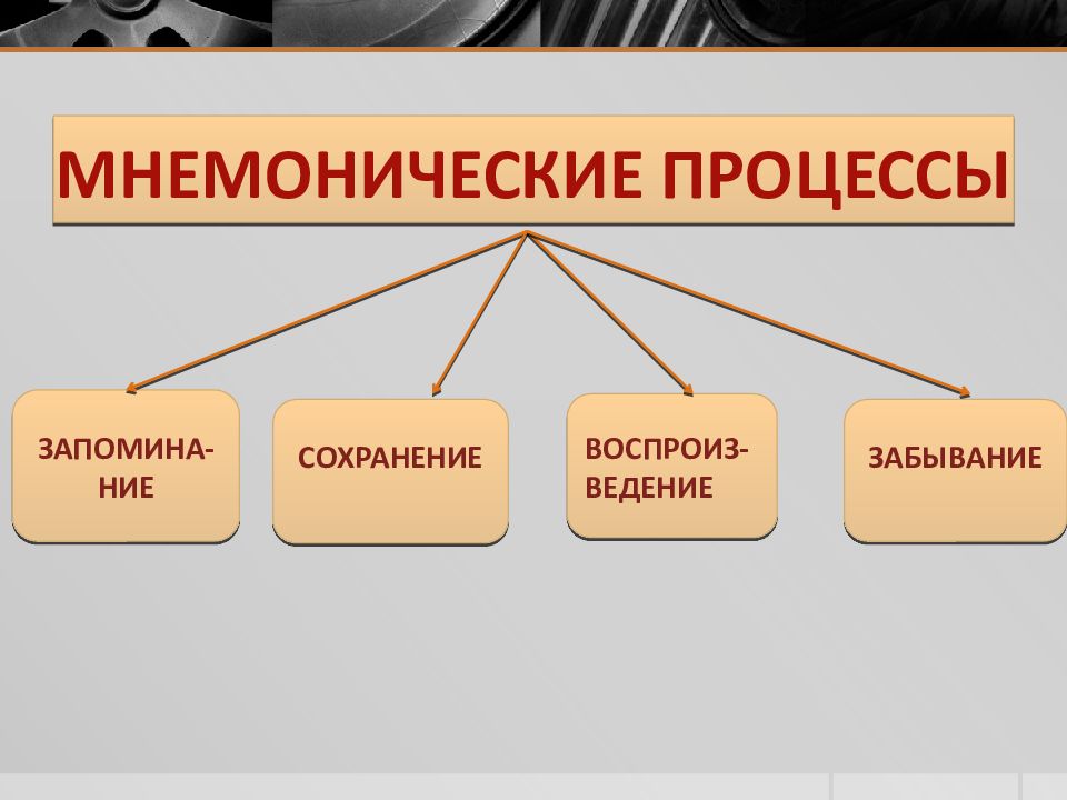 Социальная память презентация