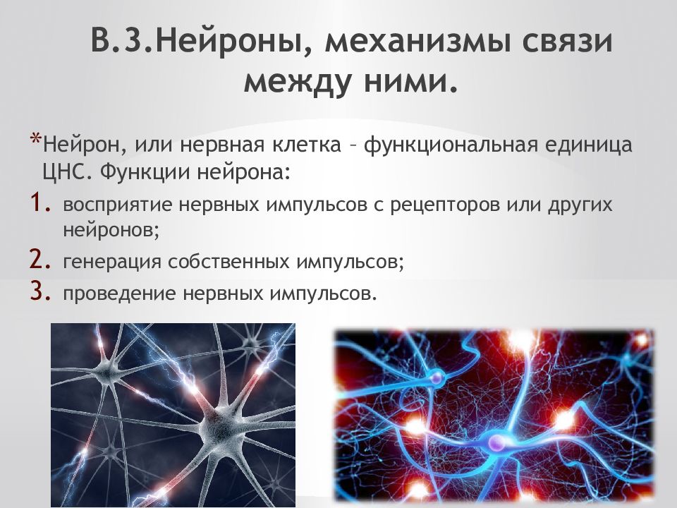 Клетки мозга виды