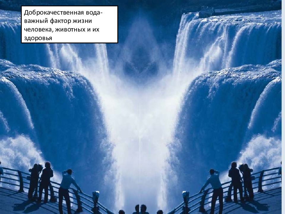 вода важнейший фактор. водный режим почв.