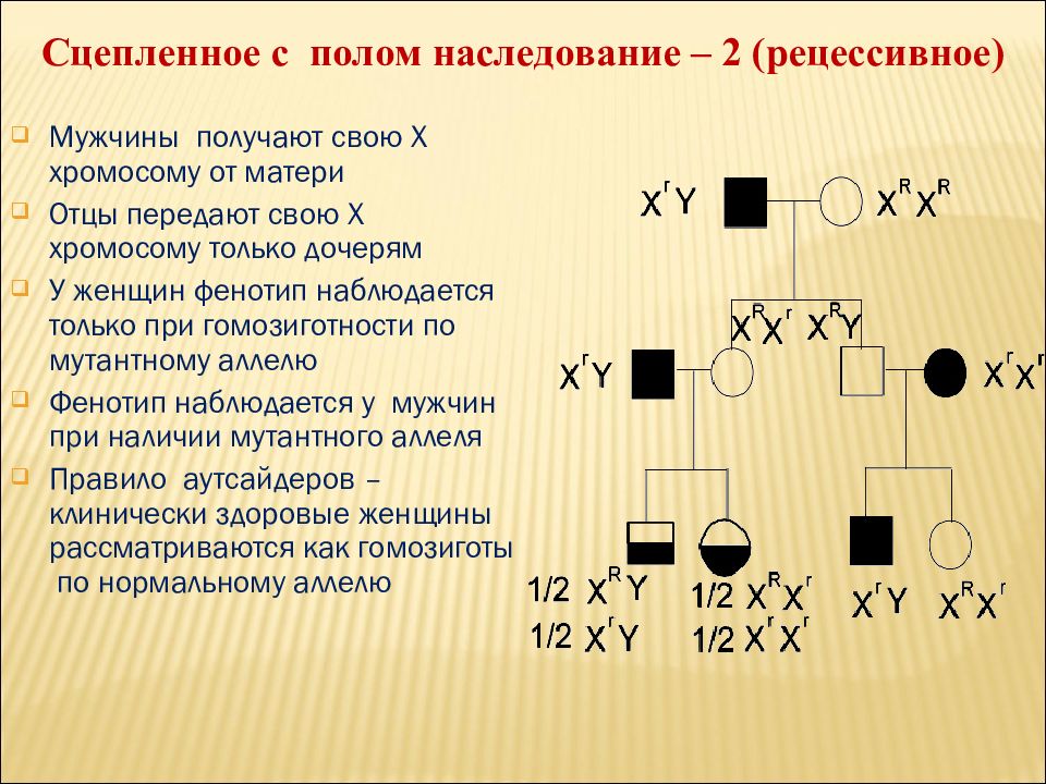 Х сцепленный рецессивный тип наследования схема