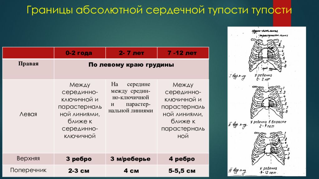 Верхняя граница сердца в норме. Границы абсолютной сердечной тупости. Границы относительной и абсолютной сердечной тупости. Границы сердечной тупости у детей. Границы абсолютной сердечной тупости у детей.