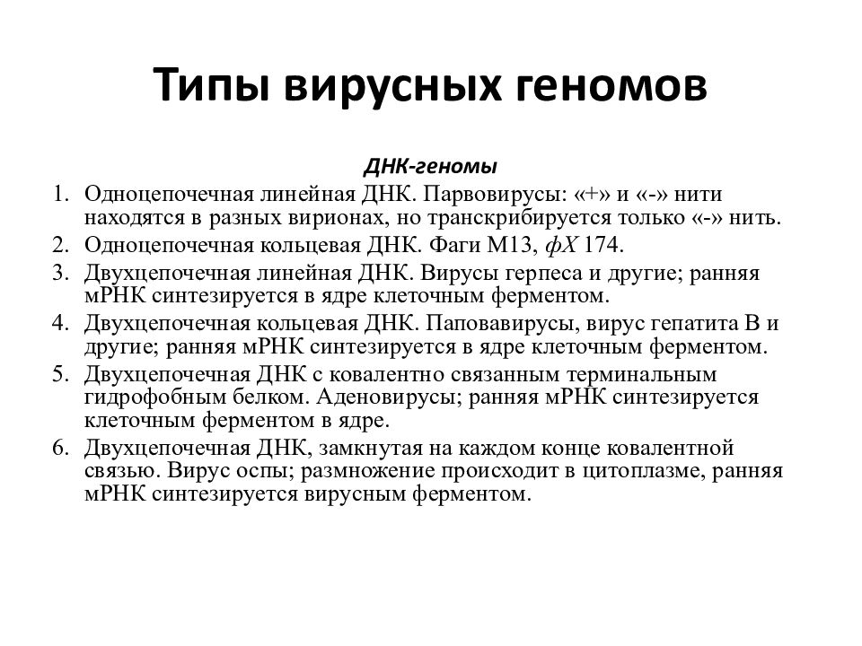 Днк геномы. Типы вирусных геномов. Типы вирусных ДНК. Вирусы с двухцепочечной ДНК. Линейная одноцепочечная ДНК.