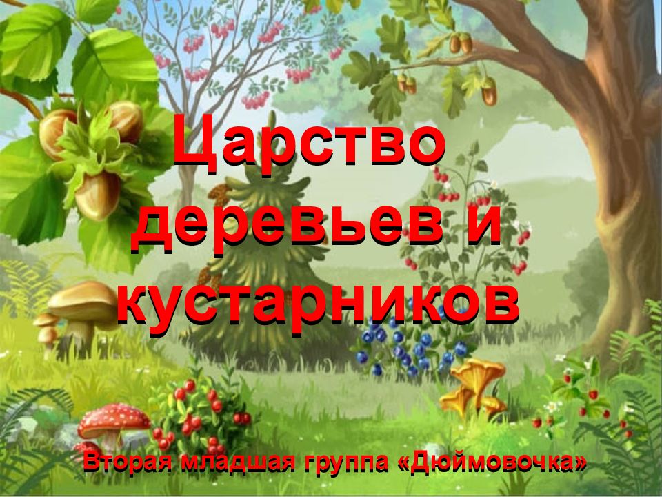 Деревья и кустарники 2 младшая группа. Царство деревьев. Лесное царство деревья. Царство леса младшая группа. Надпись царство деревьев.