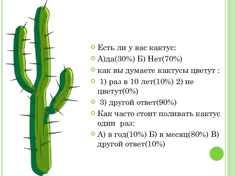 Бабушкин кактус план