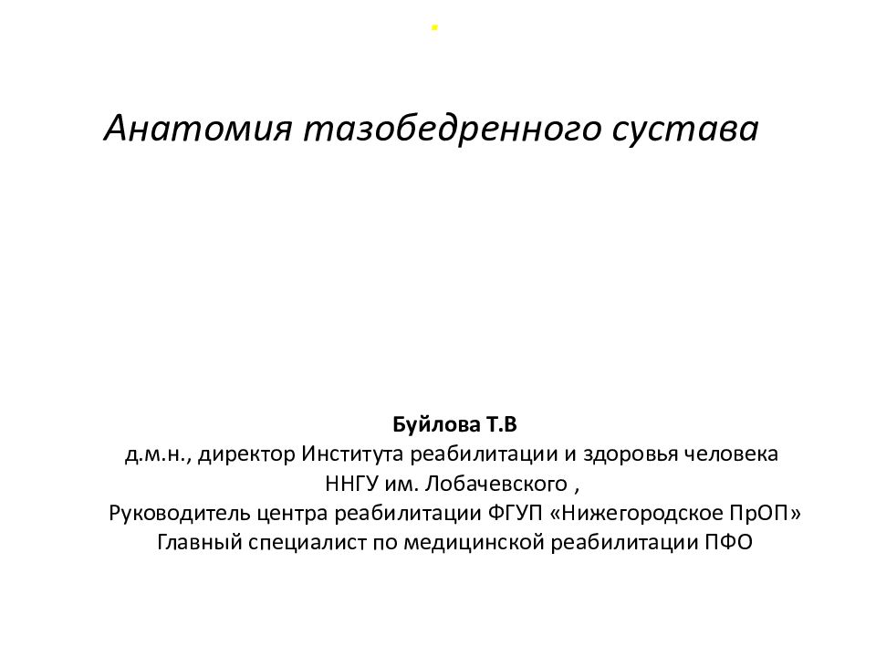 Анатомия тазобедренного сустава
