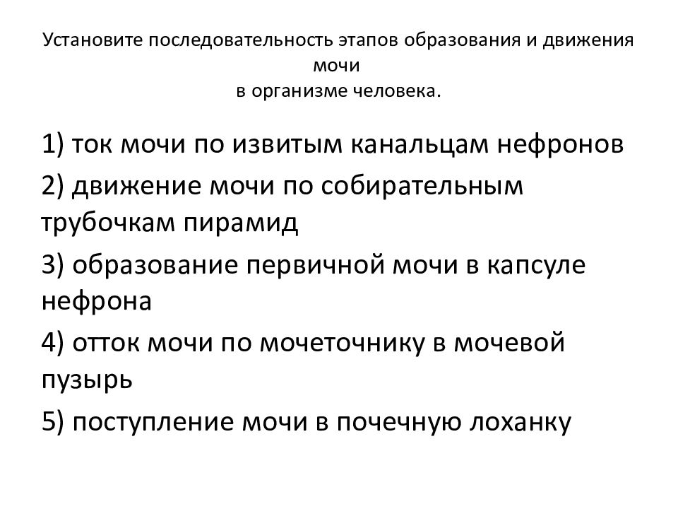 Установите последовательность этапов образования и движения мочи в организме человека.