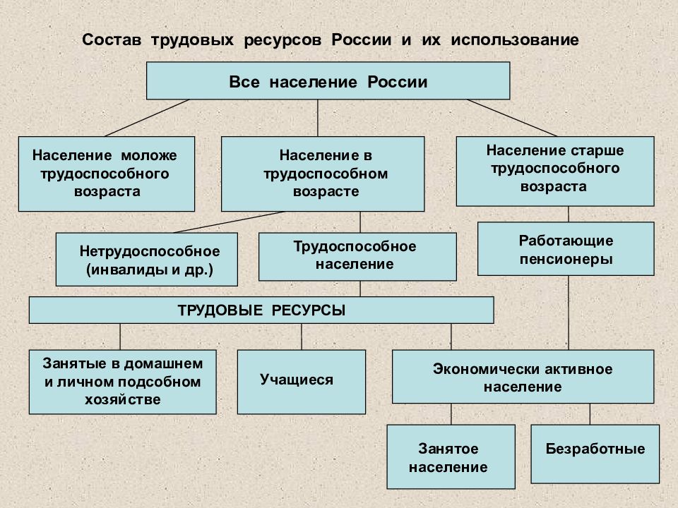 Трудовые ресурсы россии презентация 8 класс