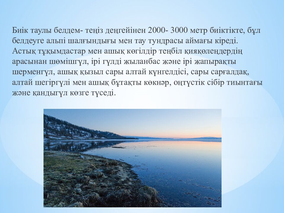 Марқакөл қорығы