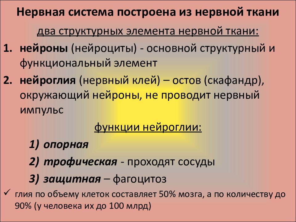 Общая характеристика нервной системы презентация