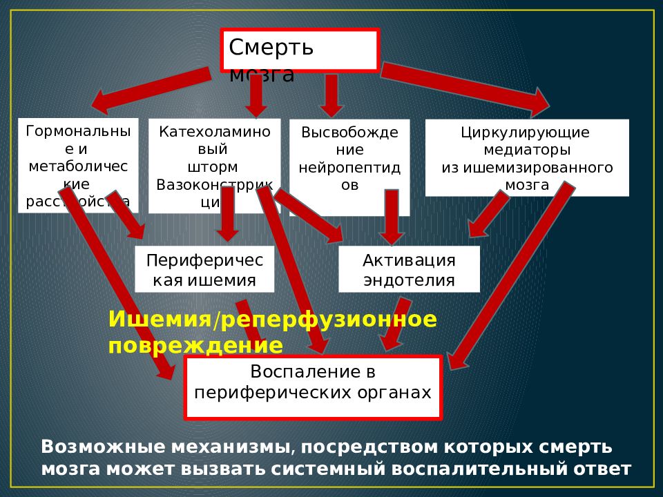 Констатация смерти карта