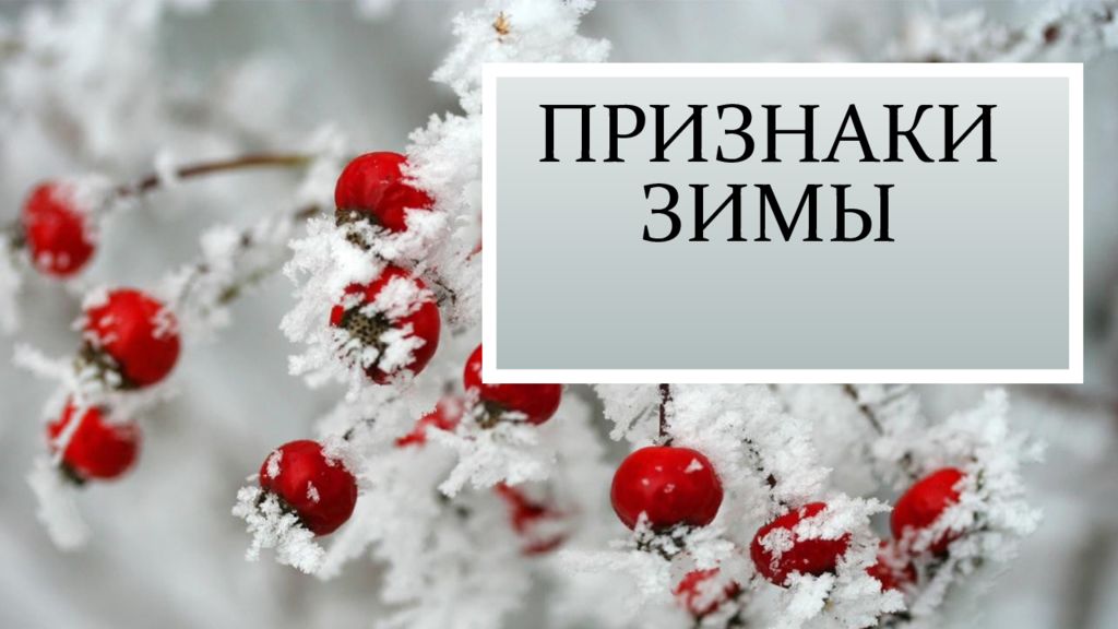 Проект по технологии праздничный сладкий стол