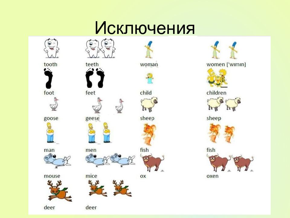 Множественное число существительных в английском языке в картинках