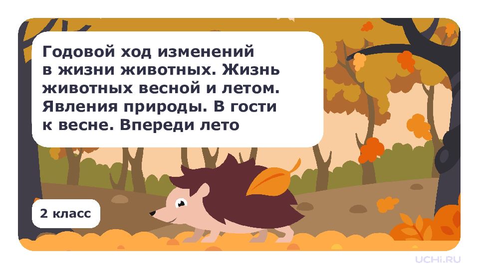 Годовой ход изменений в жизни животных. Жизнь животных весной и летом. Явления