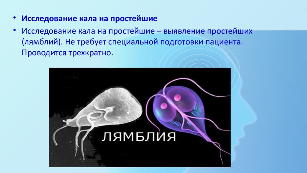 Простое исследование. Исследование кала на простейшие. Методы исследования кала на простейшие. Лямблия материал для исследования. Лямблия методы исследования.