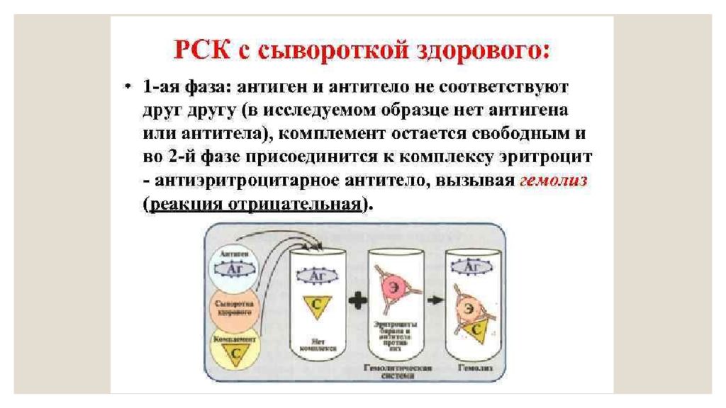 Реакция связывания комплемента микробиология. Реакция связывания комплемента РСК 1 фаза 2 фаза. Реакция связывания комплемента с исследуемой сывороткой. Реакция связывания компонента. Реакция связывания комплемента антиген + антитело.