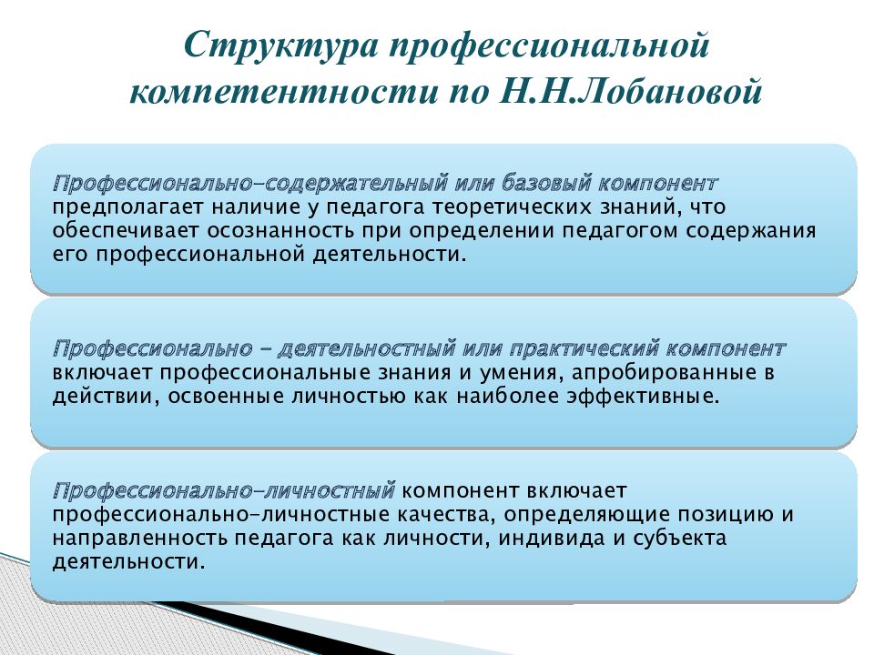 Структура профессиональной компетентности по Н.Н.Лобановой
