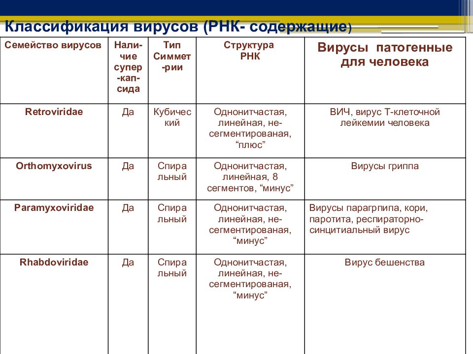 Вирусы классификация. Классификация РНК вирусов. РНК содержащие вирусы классификация. Классификация вирусов ДНК И РНК содержащие вирусы. Классификация вирусов по РНК содержанию.