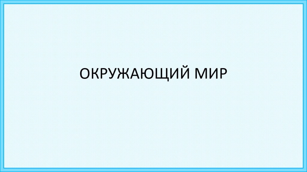 ОКРУЖАЮЩИЙ МИР