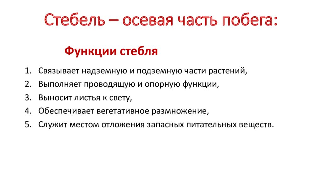 Функции стебля 6. Перечислите функции стебля побега. Стебель функции стебля. 3 Основные функции стебля. 1.Функции стебля..