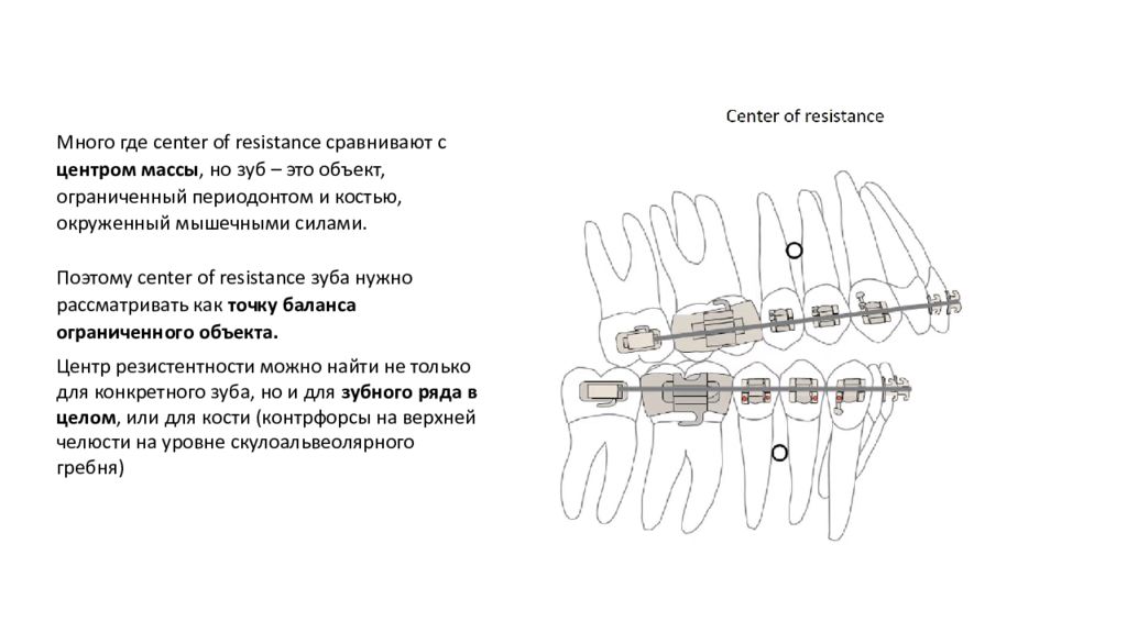 Биомеханика в ортодонтии презентация
