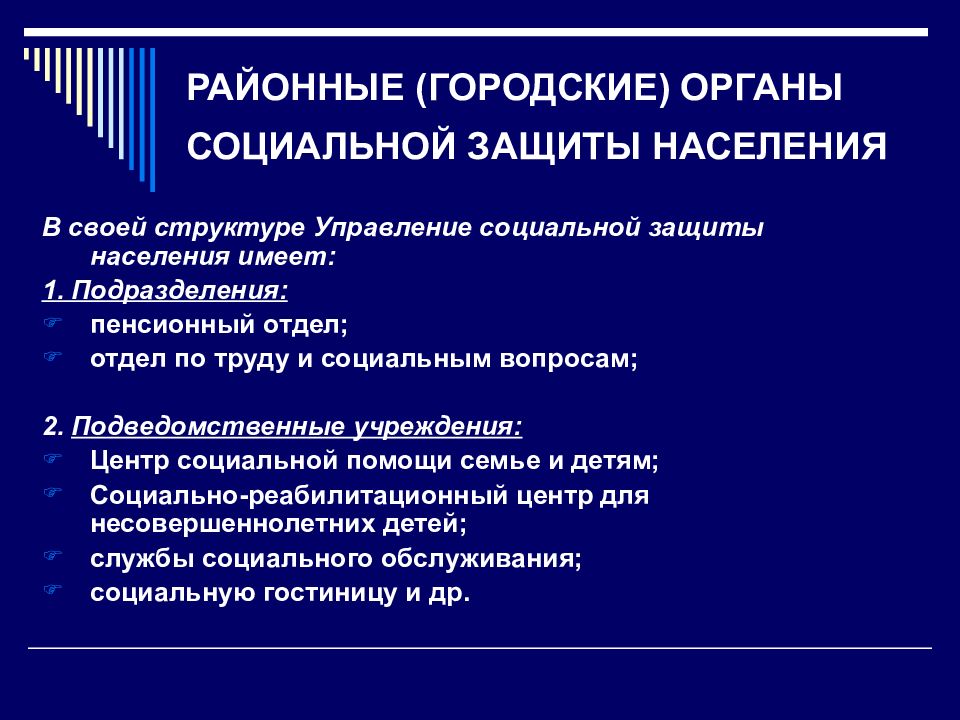 Социальная защита населения в рф презентация