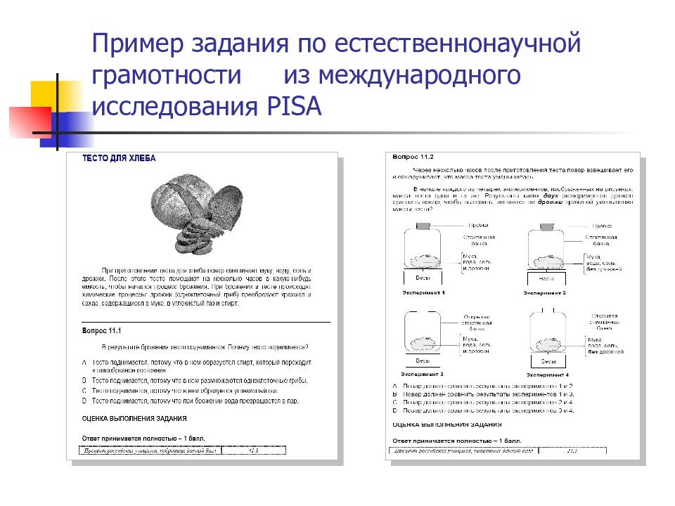 Естественнонаучная грамотность