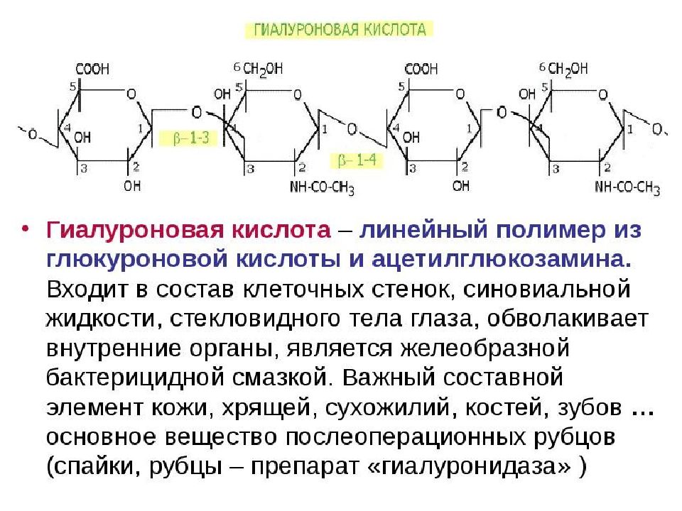 Гиалуроновая кислота презентация