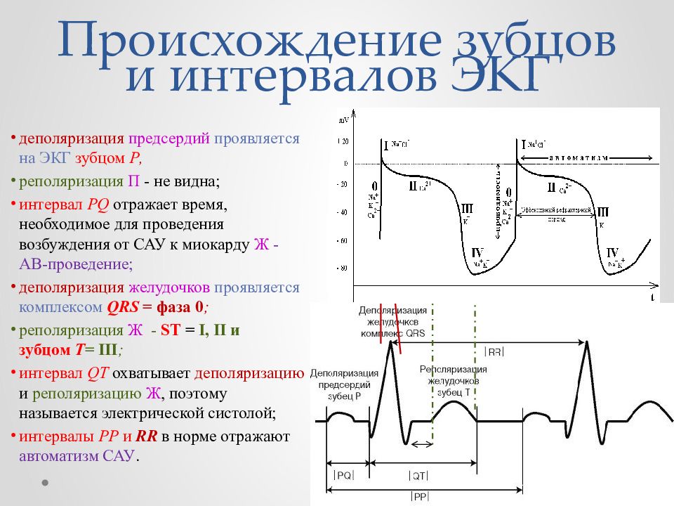 Схема описания экг