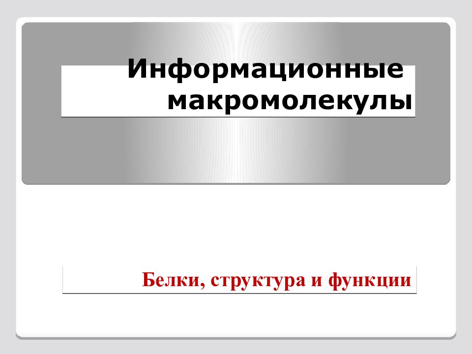 Информационные макромолекулы