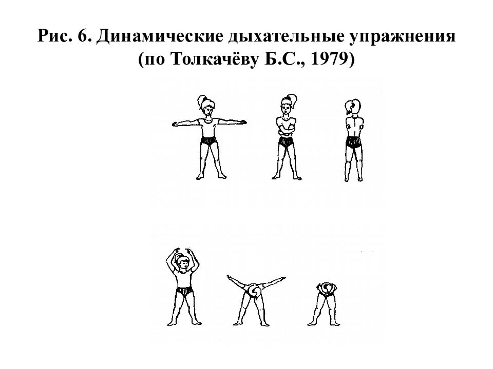 Динамические упражнения упражнения выполняются