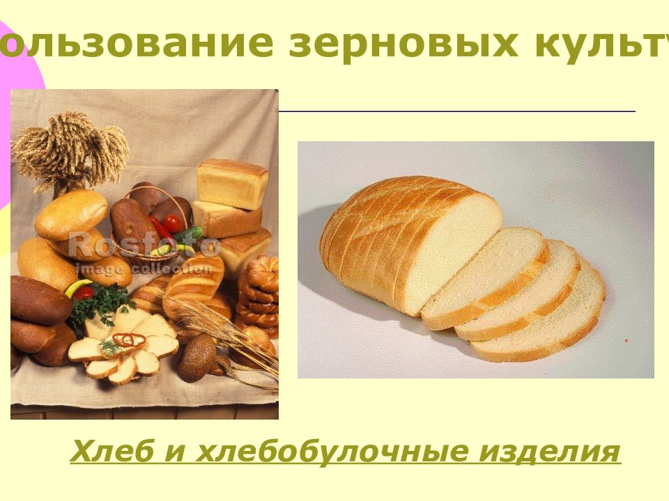 Сельскохозяйственные технологии 5 класс. Урок технологии хлеб.