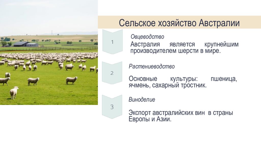 Австралия и Океания: особенности ГП Австралийский Союз: главные факторы