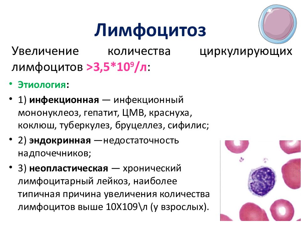 Лейкоцитоз и лейкопения. Абсолютный лимфоцитоз. Картина крови при инфекционном лимфоцитозе. Лимфоцитоз у взрослых.
